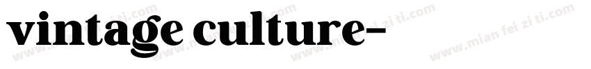 vintage culture字体转换